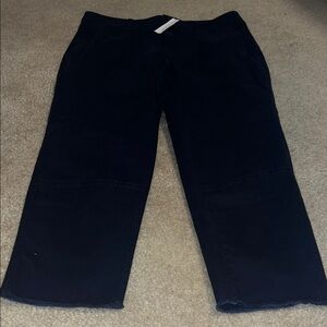 NWT  Navy Pants
